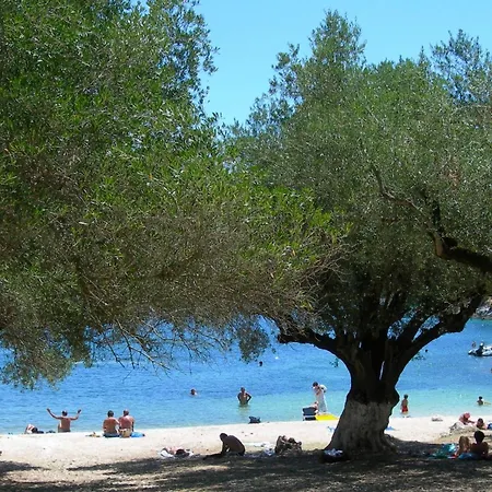 Agnantia Matsoukáta