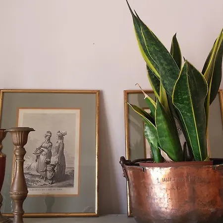 Appartement Agnantia Matsoukáta